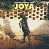 Cover art for Joya by Bonnie "Prince" Billy
