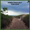 Cover art for Pond Scum by Bonnie "Prince" Billy