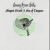Cover art for Quail and Dumplings - Single by Bonnie "Prince" Billy