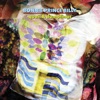 Cover art for Quail & Dumplings - Single by Bonnie "Prince" Billy