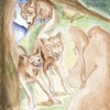 Cover art for Wolf of the Cosmos by Bonnie "Prince" Billy