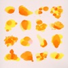 Cover art for Chrysanthemums - Single by Born Ruffians