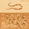 'Snakebite - Single' by Brent Cobb & the Fixin's
