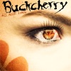 Cover art for All Night Long by Buckcherry