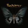 Cover art for Black Butterfly by Buckcherry