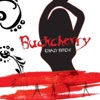 Cover art for Crazy Bitch - Single by Buckcherry