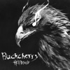 Cover art for Hellbound by Buckcherry