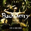 Cover art for Live and Loud 2009 by Buckcherry