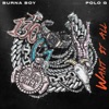 Cover art for Want It All (feat. Polo G) - Single by Burna Boy