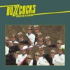 Cover art for Senses Out Of Control - Single by Buzzcocks