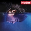 'Don't Forget You Love Me - Single' by Calum Hood
