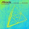 Cover art for Miracle (David Guetta Remix) - Single by Calvin Harris