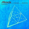 Cover art for Miracle (Hardwell Remix) - Single by Calvin Harris