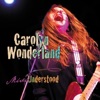 Cover art for Miss Understood by Carolyn Wonderland