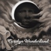 Cover art for Moon Goes Missing by Carolyn Wonderland