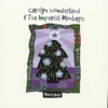 'Blue Lights - Single' by Carolyn Wonderland