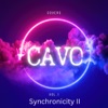 Cover art for Synchronicity II - Single by Cavo