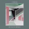 Cover art for Like You Do: Remixes - EP by C Duncan