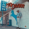 Cover art for $10 Cowboy by Charley Crockett