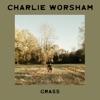 Cover art for Grass - Single by Charlie Worsham