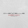 Cover art for Rabbit Hole (Cowards, Pt. 1) - Single by Chevelle