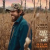 Cover art for All I Need Is You (Outlaw Version) - Single by Chris Janson