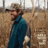 Cover art for All I Need Is You - Single by Chris Janson