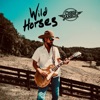 Cover art for Wild Horses by Chris Janson