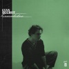 Cover art for Crocodiles - Single by Cian Ducrot