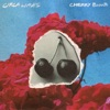Cover art for Cherry Bomb - Single by Circa Waves