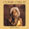 Cover art for Wide Open - Single by Colbie Caillat