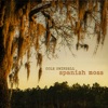 Cover art for Spanish Moss by Cole Swindell