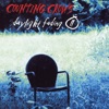 Cover art for Daylight Fading (Part 2) - Single by Counting Crows