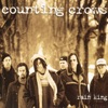 Cover art for Rain King - Single by Counting Crows