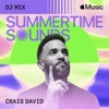 Cover art for Summertime Sounds 2024 (DJ Mix) by Craig David