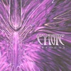 Cover art for Textures - Single by Cynic