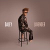 Cover art for Lavender - Single by Daley