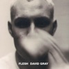 Cover art for Flesh by David Gray