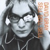 Cover art for Sell, Sell, Sell by David Gray