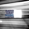 Cover art for Shine - The Best of the Early Years by David Gray