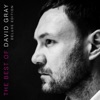 Cover art for The Best of David Gray (iTunes Deluxe Edition) by David Gray