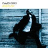 Cover art for Babylon - EP by David Gray