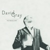 Cover art for Foundling (Deluxe Edition) by David Gray