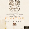 Cover art for Fugitive - Single by David Gray