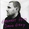 Cover art for Greatest Hits by David Gray