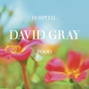 Cover art for Hospital Food, Pt. 2 - EP by David Gray