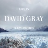 'Life in Slow Motion (Deluxe)' by David Gray