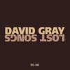 Cover art for Lost Songs 95-98 by David Gray