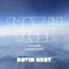 Cover art for Snow in Vegas (feat. LeAnn Rimes) - Single by David Gray
