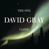 Cover art for The One I Love (Demo) - Single by David Gray